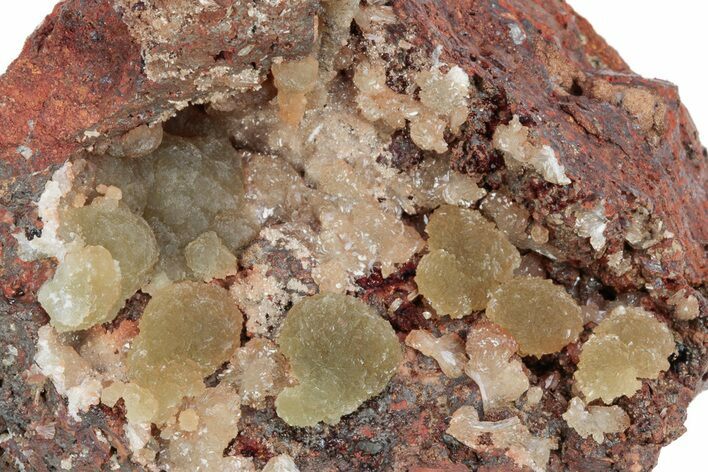 Gemmy Austinite Crystals on Matrix - Ojuela Mine, Mexico #219841